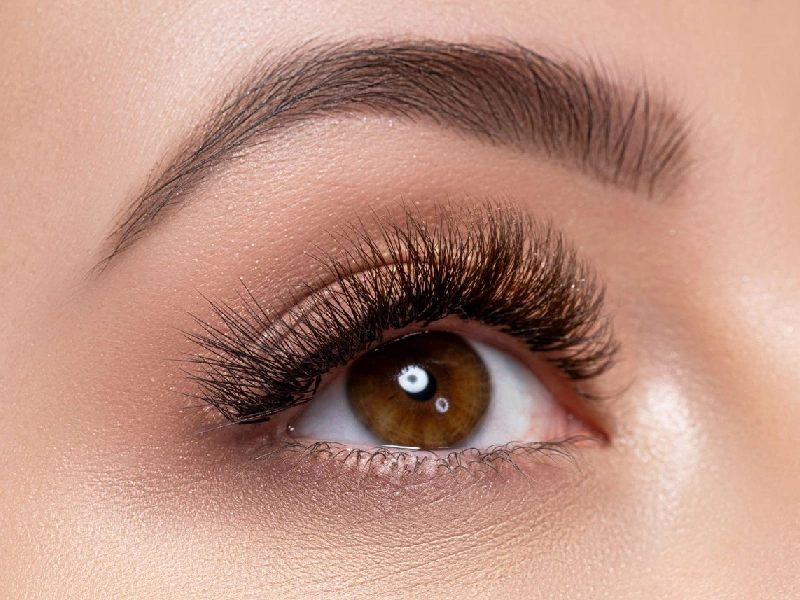 Best Eyelash Transplantation Centers in Mashhad 2 1